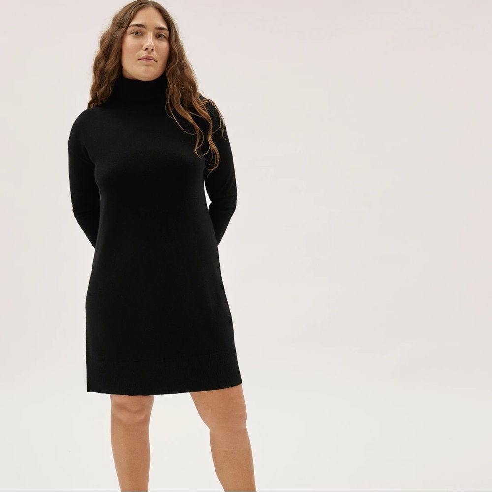 Everlane Cashmere turtleneck dress